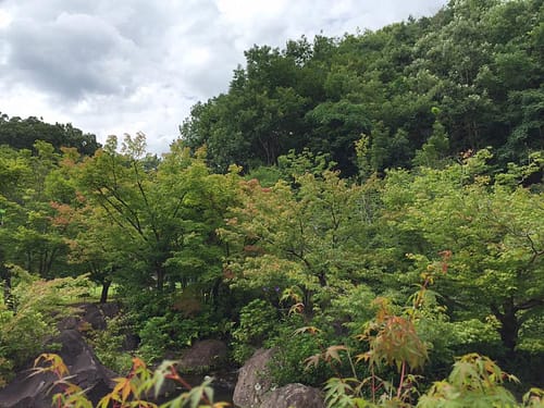 13557953_1080351335373087_8991816627420180159_n